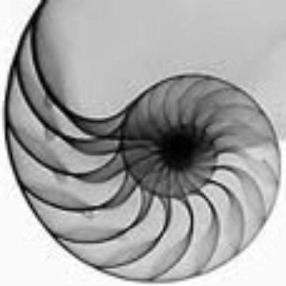 Meet your Posher, Catherine - Picture 1 of 1